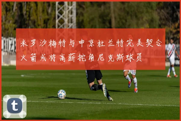 米罗沙梅特与申京杜兰特完美契合火箭或将高薪挖角尼克斯球员