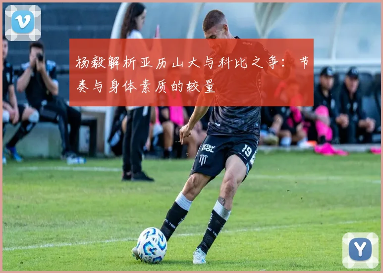 杨毅解析亚历山大与科比之争：节奏与身体素质的较量