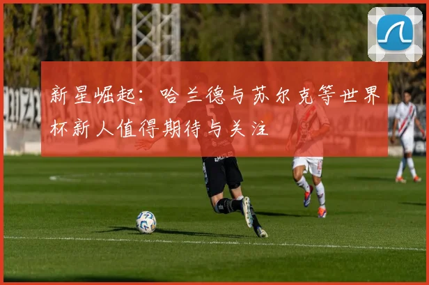 新星崛起：哈兰德与苏尔克等世界杯新人值得期待与关注